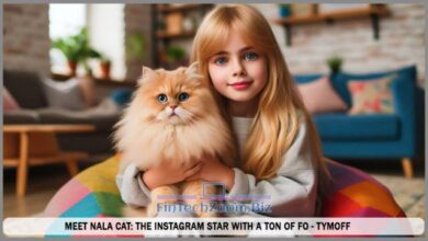 Meet Nala Cat: The Instagram Star with a Ton of Fo - Tymoff